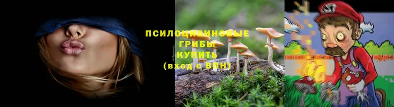 Псилоцибиновые грибы Magic Shrooms  ссылка на мегу рабочий сайт  Лихославль 